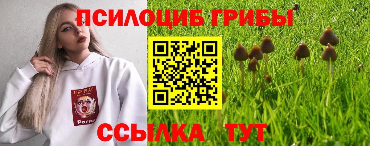 Псилоцибиновые грибы Psilocybe  Вход с VPN  Мелеуз 