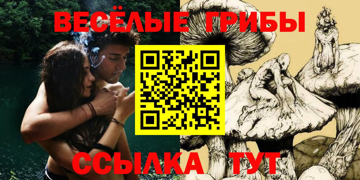 Псилоцибиновые грибы GOLDEN TEACHER Мелеуз